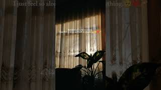 sometimes I cry for no reason ✨✨