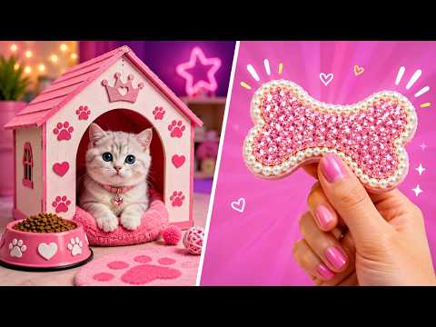 Adorable Kittens & Creative Pet Gadgets! 🐱✨ Fun Art & DIY Ideas by 123GO! ZOO