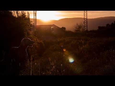 Miguel Rubio - Videografo y Fotografo