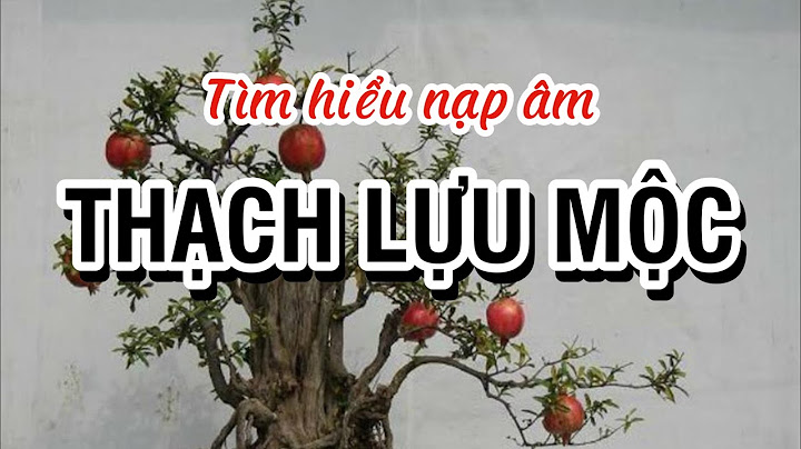 Thạch lựu mộc là cây gì năm 2024