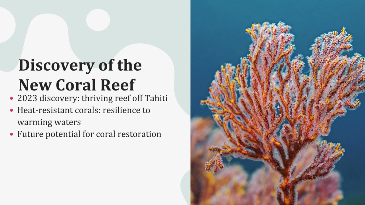 The Economic and Social Impact of Coral Reefs in French Polynesia