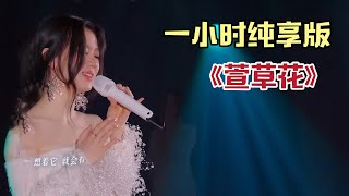 【一小时纯享版】单依纯《萱草花》一开口就是深情,感情输出真的绝了,简直太好哭了#单依纯