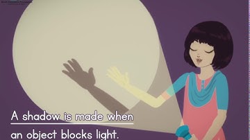 Shadow I Science I Grade 3 Unit 3 Lesson 2