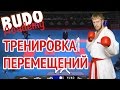 Перемещения в спортивном каратэ. Денис Клюев