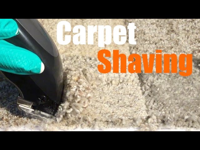 ASMR, Buzzy Carpet Shaving with Electric Clippers