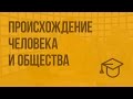 Происхождение человека и общества. Видеоурок по обществознанию 10 класс