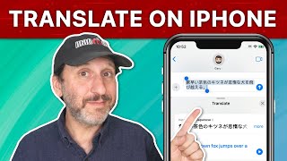 How To Translate Text On Your iPhone screenshot 4