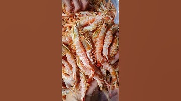 Tôm khô đặc sản Cà Mau di sản văn hoá vật thể phi Quốc gia