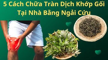 5 Cách Chữa Tràn Dịch Khớp Gối Tại Nhà Bằng Ngải Cứu