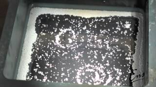 Lorentz force in liquid metals
