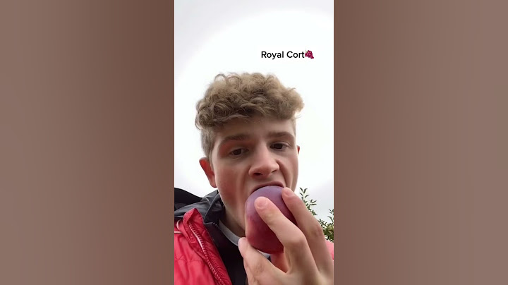 Eating only apples from an apple orchard! #shorts