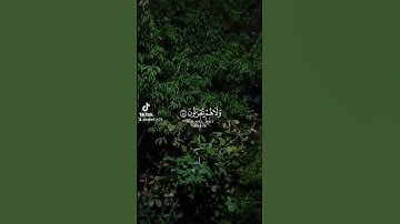 #beautiful #quran #الجزائر #آيات #تلاوات #سورة #عبدالله_موسی #عبد_الله_الموسى #سورة_الأنعام