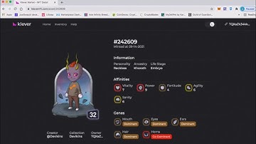 How to connect your wallet in devikins shop (kleverNFT)