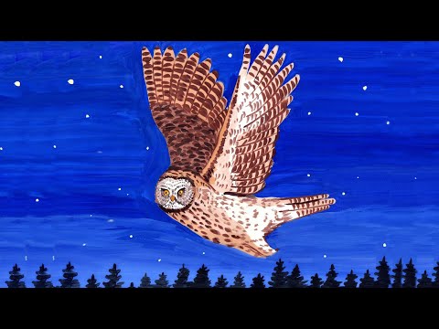 Как нарисовать сову. /How to draw an owl.