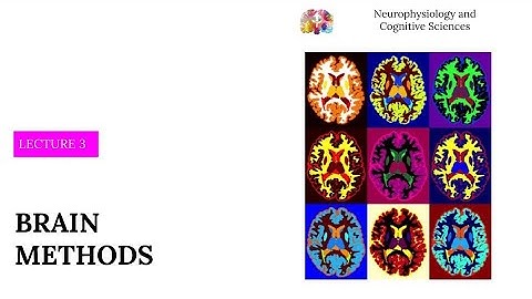 Neuroscience_Lecture_3