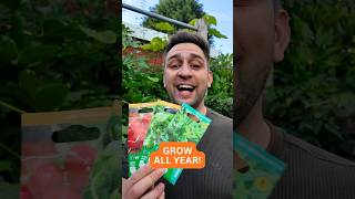 12 things to grow, one for each month 🌱