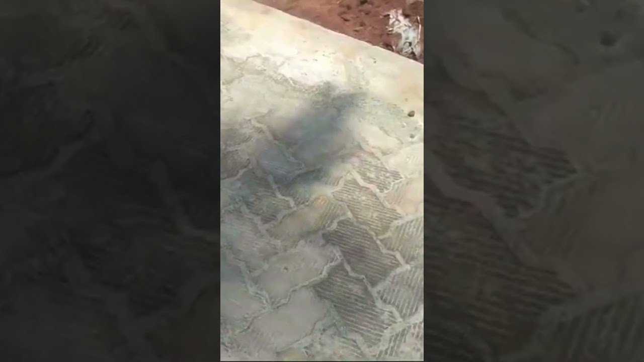 மண்டைக்காடு Village Office பக்கம் 57 சென்ட் தோப்பு விற்பனை Whatsapp:9626235532