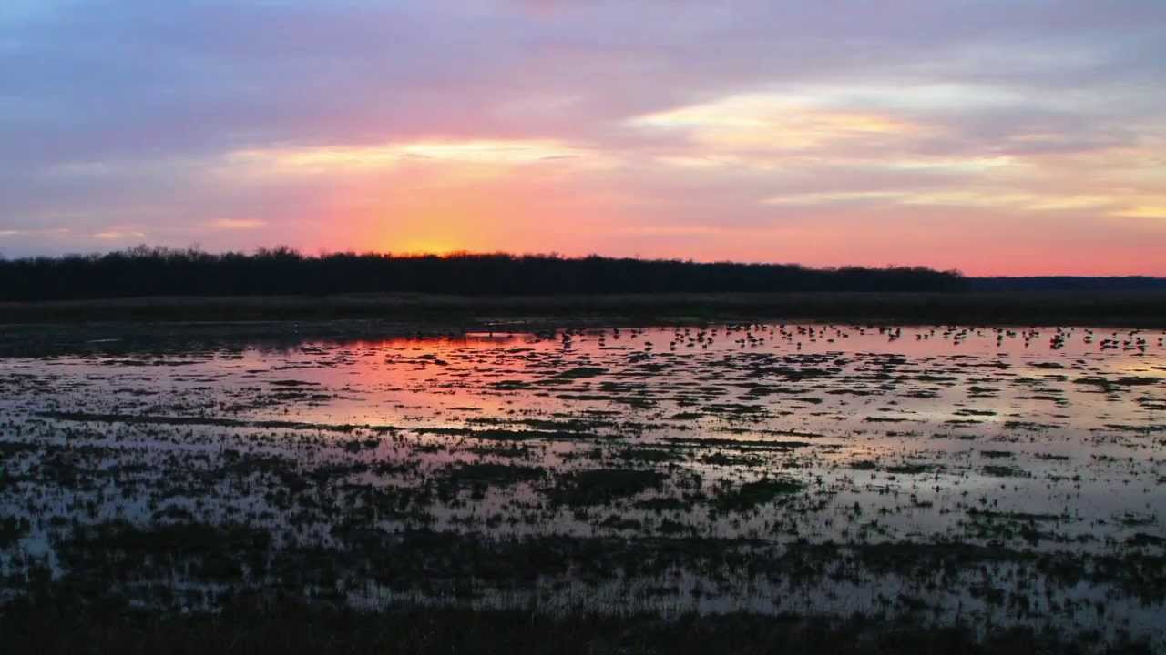 Montezuma National Wildlife Refuge YouTube