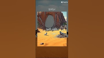 سورة الفتح