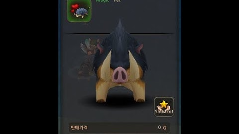 World of prandis Plane boar pet