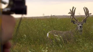 &quot;The Sleepy Story&quot; - 2 HOUR FILM NOW AVAILABLE!!! 266&quot; HUGE MULE DEER!