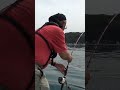 【美味しいヤツ】根に張り付かれたのを起こしてみたら #Shorts
