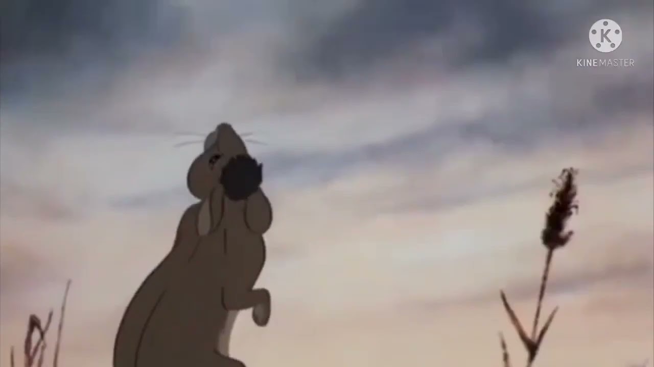 Relaxing Watership Down Music