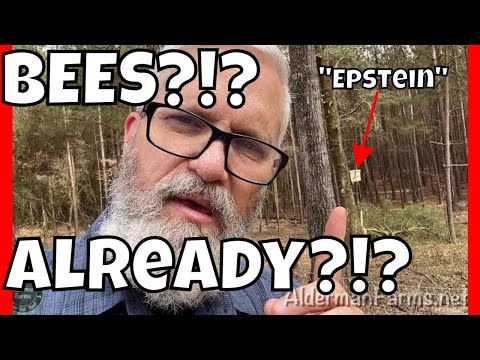 Checking the Swarm Trap (Bait Hive) | BEES After ONE Day at AldermanFarms!