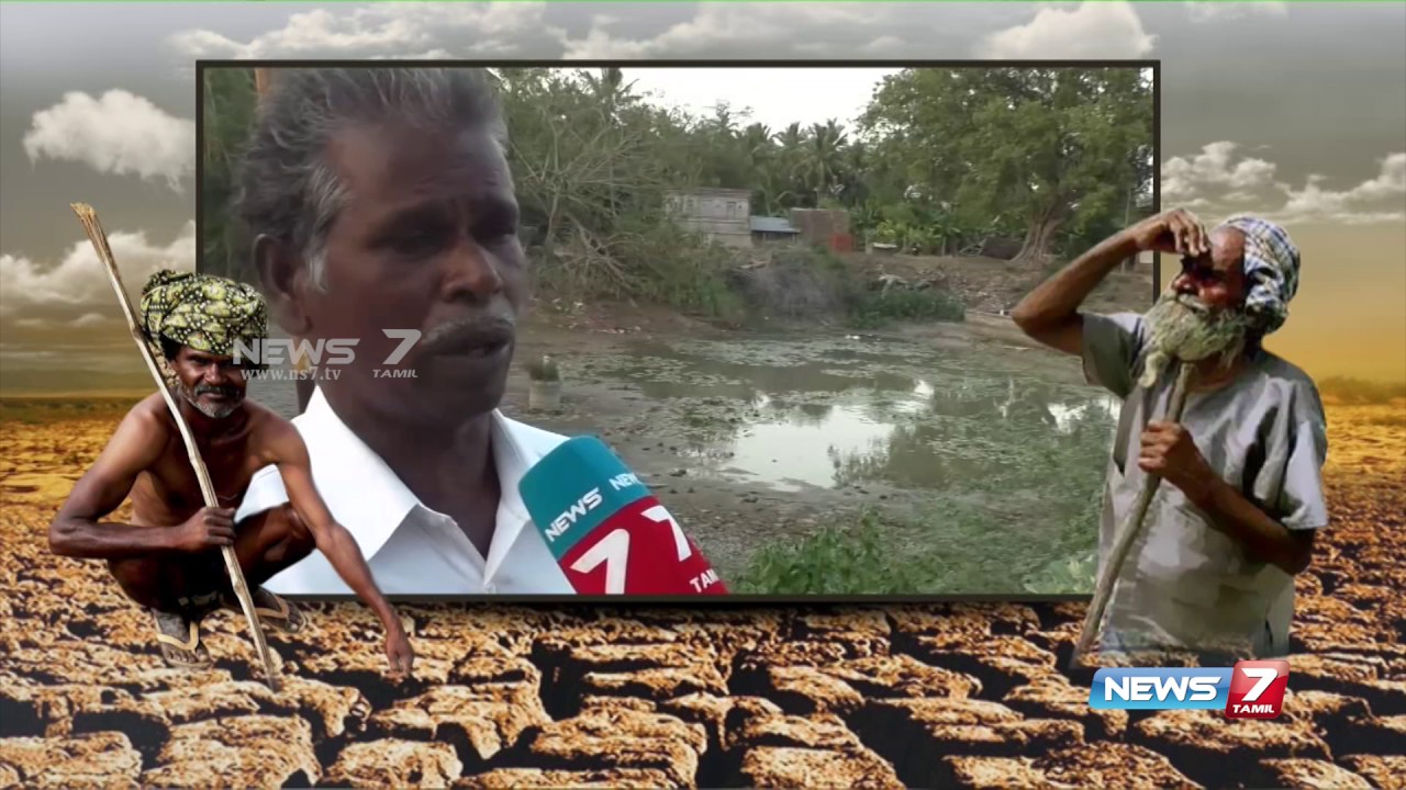 Impact of drought in Thiruvarur district : special report | News7 Tamil ...