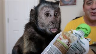 Monkey Unboxing Mail Vlog! (MONKEY MONDAY)