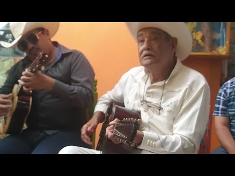 Chucho De Armonia