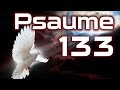 Psalm 133 Psalms Chapter 133 