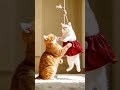 cat and tiger 🐯😝😛😝 #ai #animalart #trendingshort #facts #catfunny #funnycatvideos #cat #animals