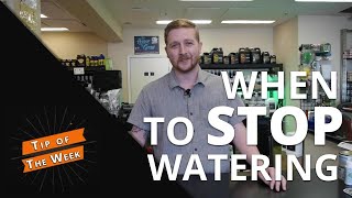 Tip Of The Week: When to STOP watering