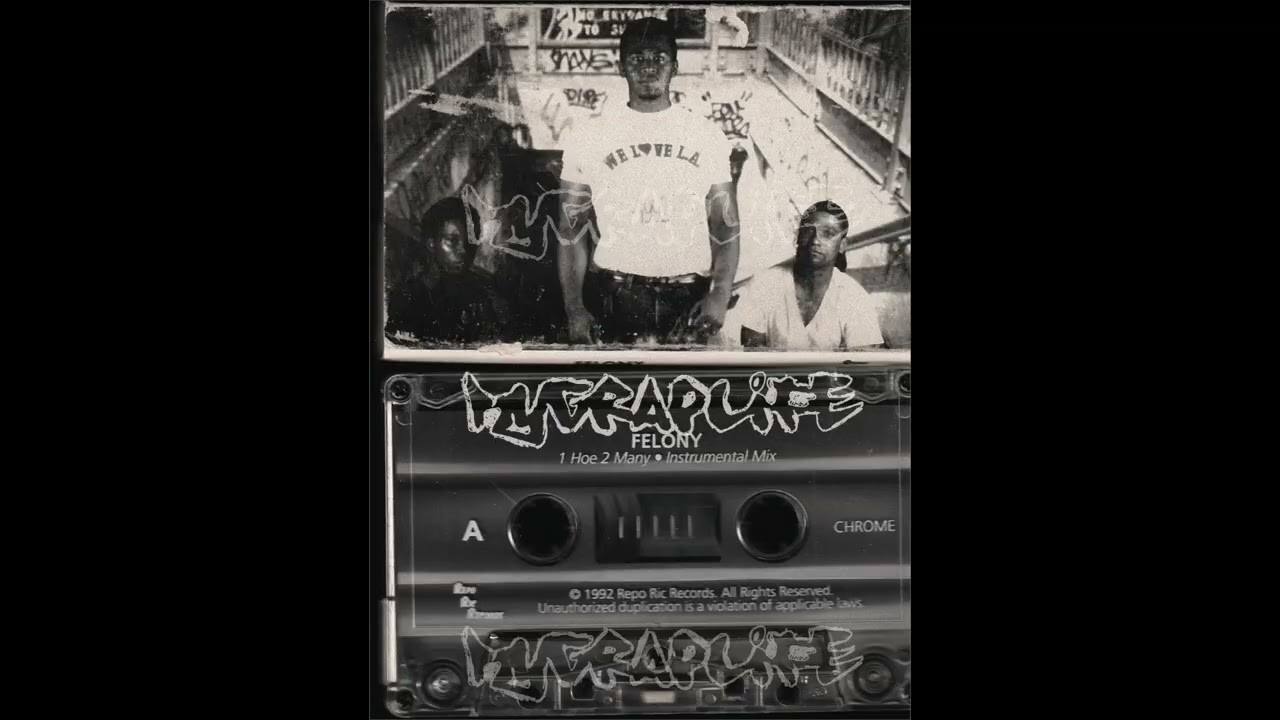 Felony - Another Death Wish (mega rare 1992 San Diego rap)