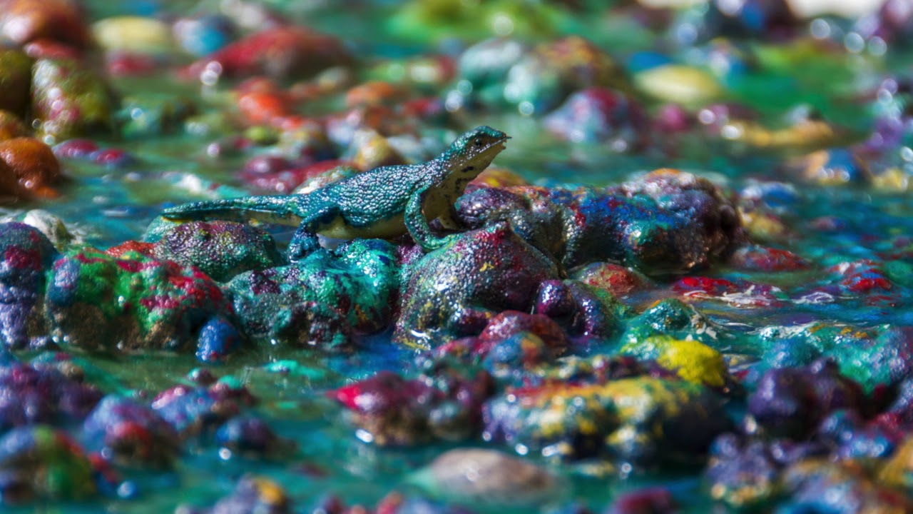 FrontnCenter Gallery   Series I 2019