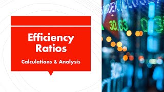Efficiency Ratios V2