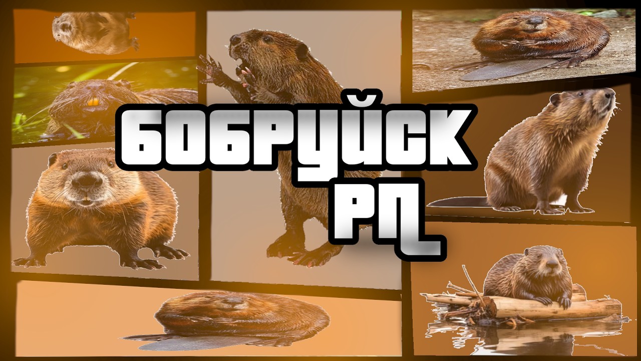 kомпьютер - Бобруйск RP (ft. FACE) x prod. by kenkipi