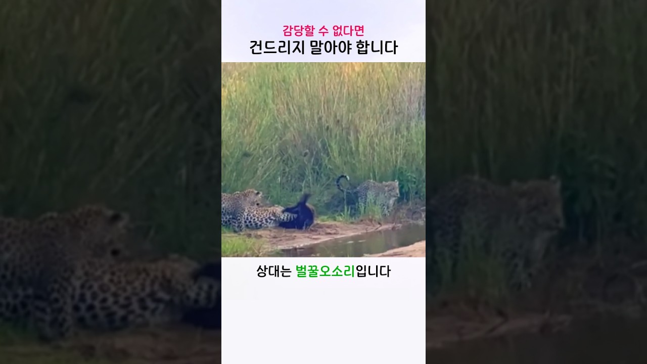 감당할 수 없다면 건드리지 말아야 합니다