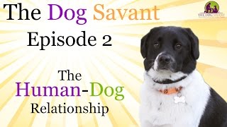 Human-Dog Relationship - The Dog Savant Episode 2 Dog Training Techniques & Tricks - Brett Endes