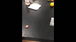 Hydrogen Bonds vs Van Der Waals Forces on a Penny