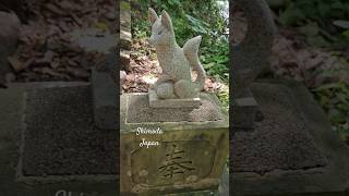 Shimoda Travel Vlog Uploaded. #Izupeninsula #Shimoda #Japan #ramenandtacos #shizuoka #vlog