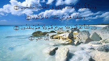 سورة يس بصوت محمد صديق المنشاوي * بدون صدى