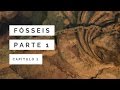 Fósseis Parte 1 | A Grande Catástrofe #2