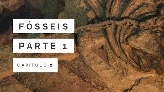 Fósseis Parte 1 | A Grande Catástrofe #2