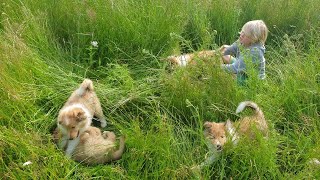 Download Lagu Marieke's pupjes 8weken, op uitstap naar \ MP3