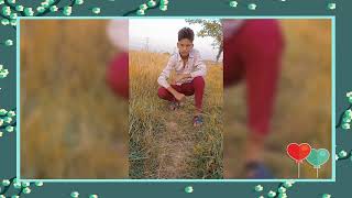सीरियल नंबर 8930