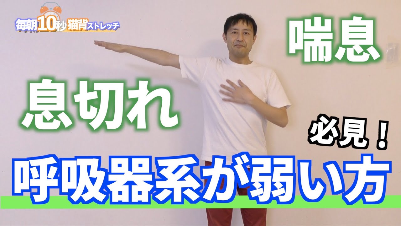小林篤史　猫背矯正導入成功プログラム　DVD3枚 整体 小林篤史の猫背矯正メソッドを凝縮！男性用補正下着「整体パンツ