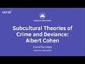 Thories sousculturelles du crime et de la dviance  albert cohen  une sociologie de niveau