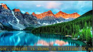 Samsung 55-Inch BE55T-H Pro TV | Commercial | Easy Digital Signage Software | 4K | HDMI | USB |Tune screenshot 4